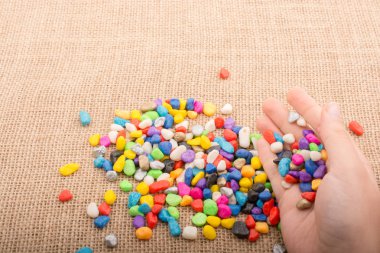 Elindeki ve yerdeki renkli çakıl taşları