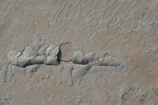 Muster Auf Frisch Gegossener Betonoberfläche — Stockfoto