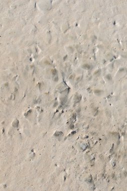 Kalıpları üzerinde taze beton yüzeyine dökülür