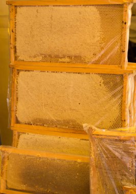 Mühürlü tarak çerçeve taze bal