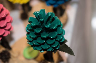 Renkli kozalaklar görünümünde çam ağacının