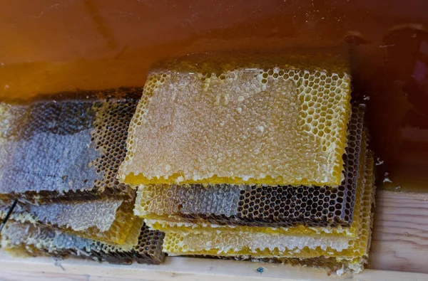 Sweet Fresh Honey Sealed Comb Frame — Stock Photo, Image