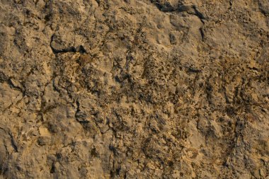 Arka plan dokusu olarak doğal kaya veya taş yüzeyi