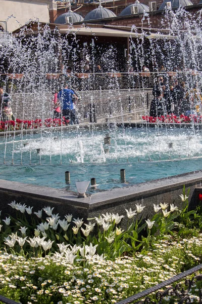 The fountains gushing sparkling water in a pool — Stock Photo, Image