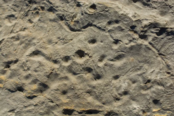 Rock or Stone  surface as  background texture — Stock Photo, Image