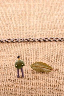 Erkek heykelciğiyle kuru yeşil yaprak