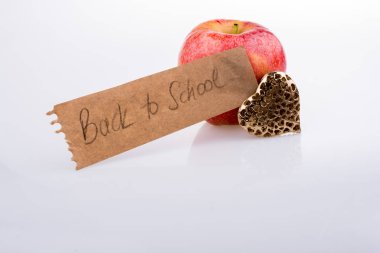 Elmalı okula dönüş teması