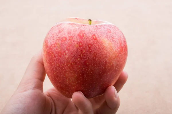 Назад Шкільної Теми Червоним Яблуком — стокове фото