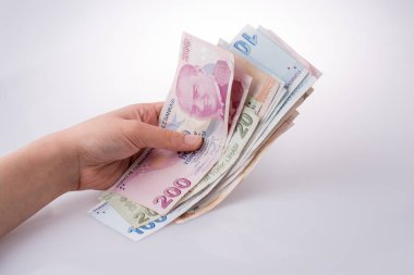 Turksh Lirası banknotlar beyaz arka plan üzerinde tutan el