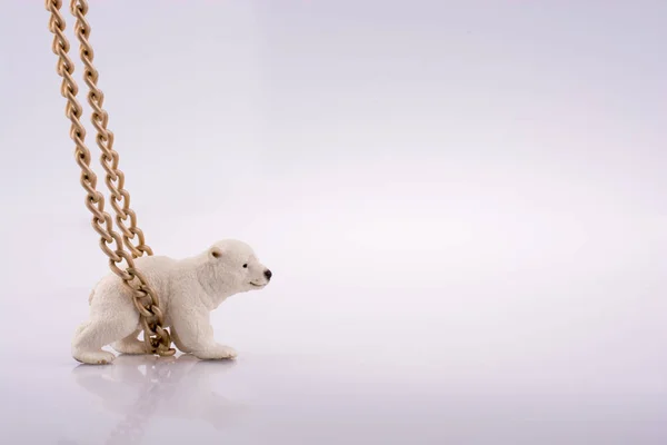 Πολική Αρκούδα Σκύμνος Και Αλυσίδα Λευκό Φόντο — Φωτογραφία Αρχείου