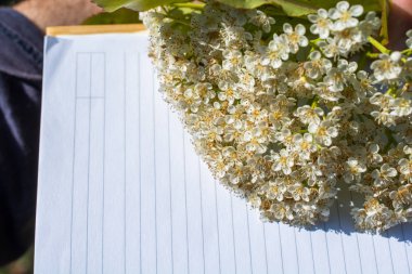 Renkli vahşi bahar çiçekleri sarmal üzerinde bir defter