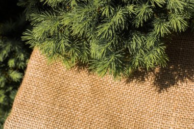 Keten brandaya yerleştirilmiş yeşil yapraklar