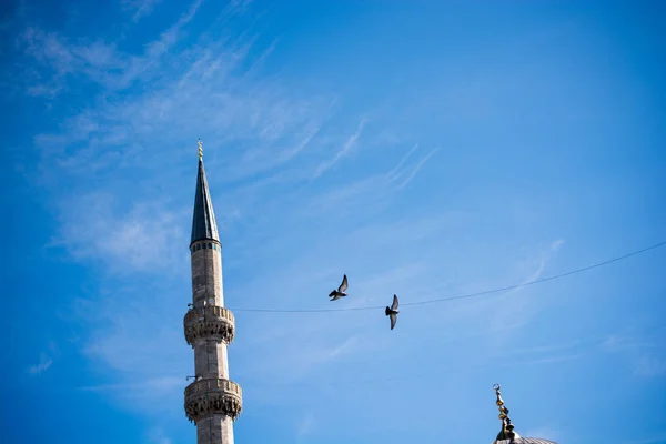 Holub Létání Vzduchu Vedle Minaretu — Stock fotografie