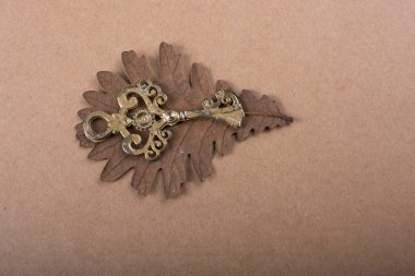 Masadaki yaprak üzerinde retro anahtar