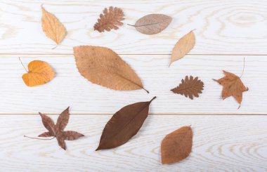 Kuru sonbahar yaprakları bir ahşap panel doku üzerinde yer