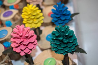 Renkli kozalaklar görünümünde çam ağacının