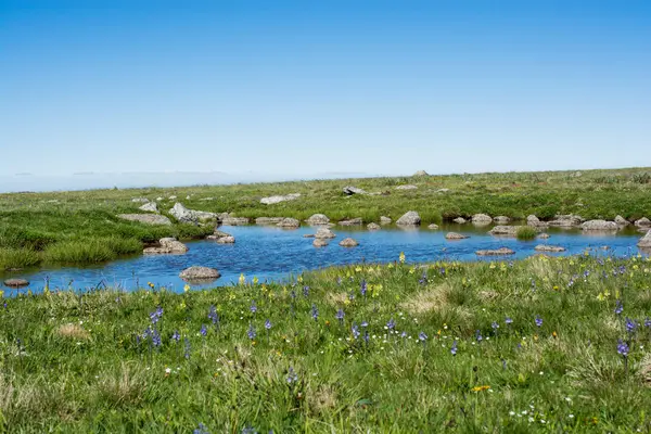 Highland Λίμνη Στο Πράσινο Φυσικό Υπόβαθρο Στην Επαρχία Artvin Της — Φωτογραφία Αρχείου