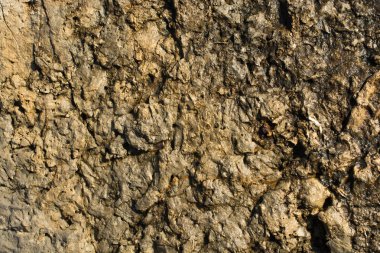 Arka plan dokusu olarak doğal kaya veya taş yüzeyi