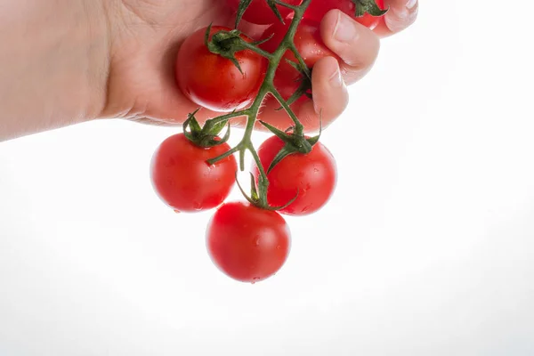 Bunch Red Ripe Tasty Cherry Tomatos Hand — Stock Photo, Image