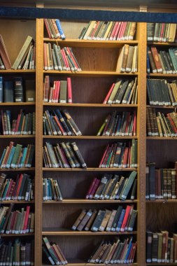 Eski Türk Osmanlı el yazısı kitapları ile Bookshelf