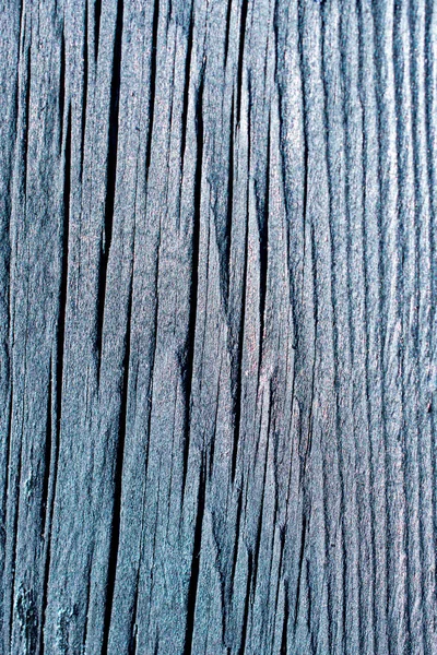 Wood Texture Natural Pattern Background — Stock Photo, Image