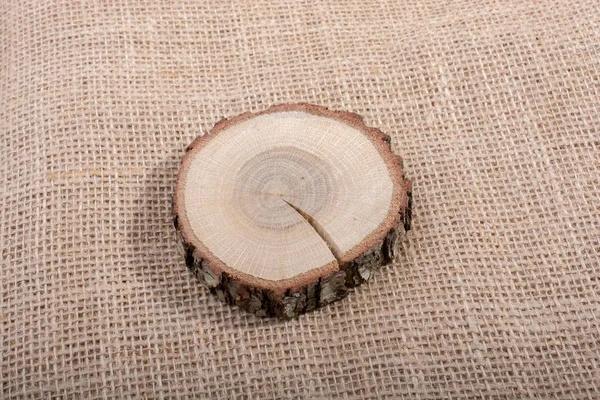 Κομμάτι Κομμένο Ξύλο Log Υφή Φόντο — Φωτογραφία Αρχείου