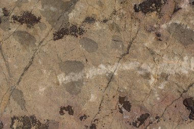 Doğal kaya, arka plan dokusu olarak taş yüzeyi.