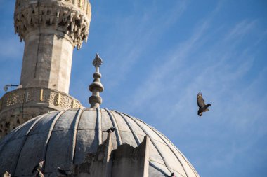 İki Yataklı güvercinler kubbe yan tarafından havada