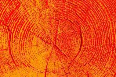 Arka plan olarak ağaç güdük yüzey kesme