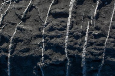 Doğal kaya, arka plan dokusu olarak taş yüzeyi.