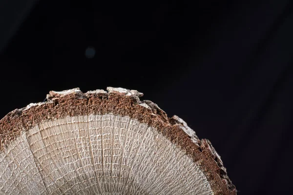 Ahşap dokusu arka planı için kullanılan küçük bir tahta parçası