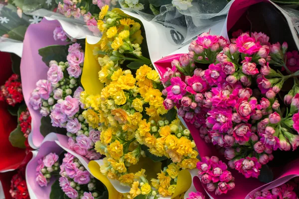 Красиві Барвисті Природні Весняні Квіти Фон Природи — стокове фото