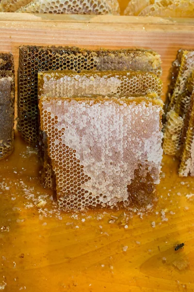 香甜新鲜的蜂蜜在密封的梳子里 — 图库照片