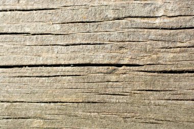 Arkaplan olarak doğal desenli ahşap doku