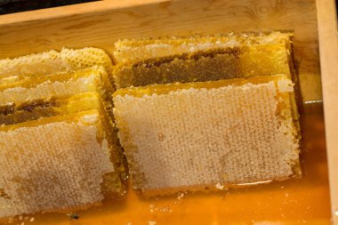 Tatlı taze bal mühürlü tarak çerçevesinde