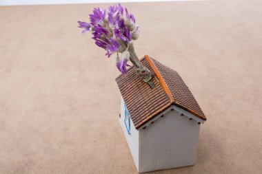 Çiçek placedon bir modeli ev demet