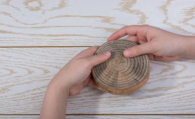 Küçük kesilmiş ağaç parçası oturum el arka plan