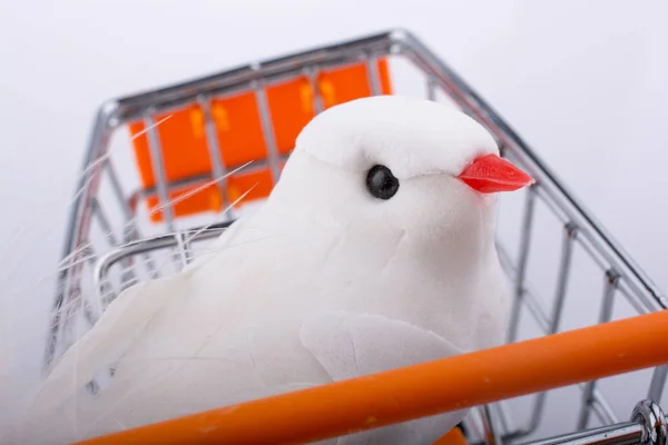 Kleines Spielzeugmodell Vogel Weißer Farbe Blick — Stockfoto