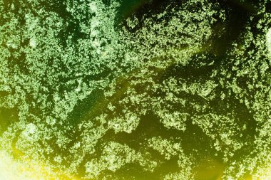 Belirli bir doku kalıbına sahip arka plan