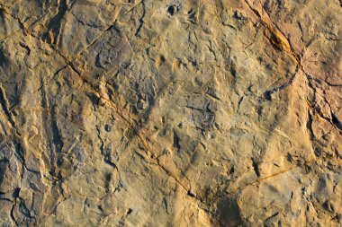 Arkaplan dokusu olarak kaya ya da taş yüzeyi 