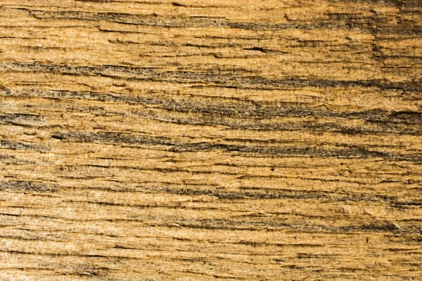 Wooden texture with natural patterns — Stock Photo, Image