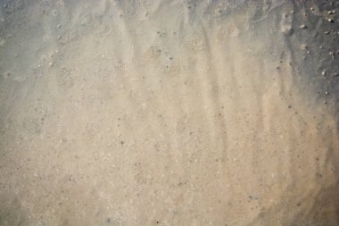 Yeni dökülmüş beton yüzeydeki desenler