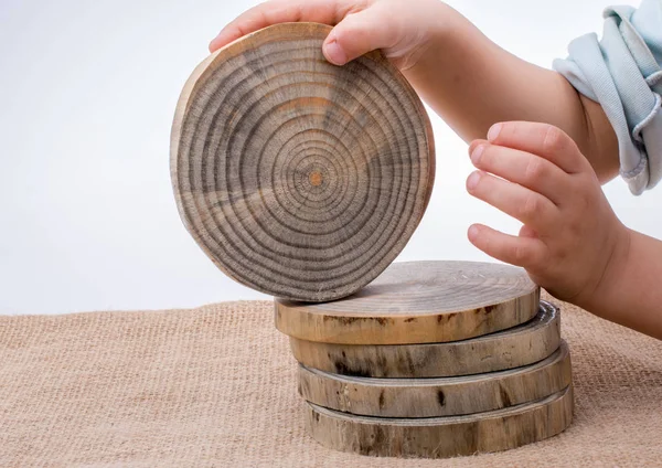 Wood Logs cut in round thin pieces — Stock Photo, Image