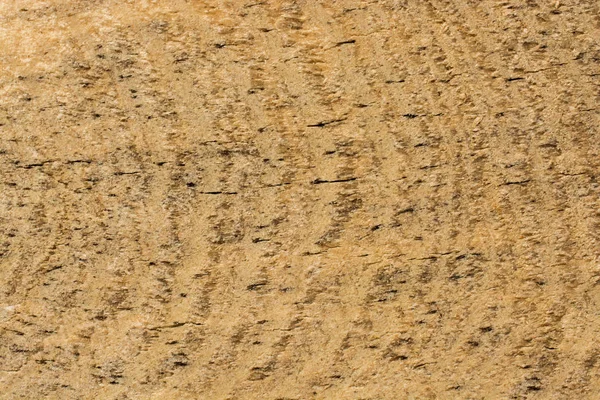 Textura de madera con patrones naturales — Foto de Stock