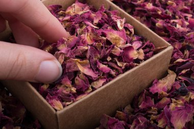 Gül yaprakları kutusunda ve arka plan olarak