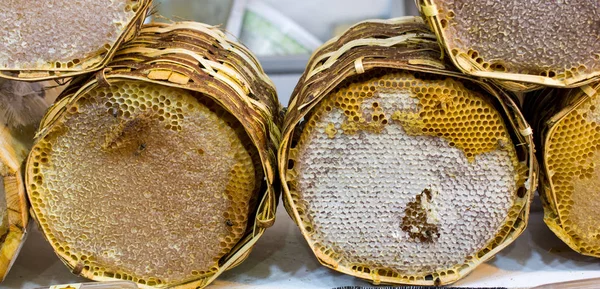 Färsk honung i ramen förseglade kam — Stockfoto
