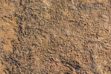 Arkaplan dokusu olarak kaya ya da taş yüzeyi 