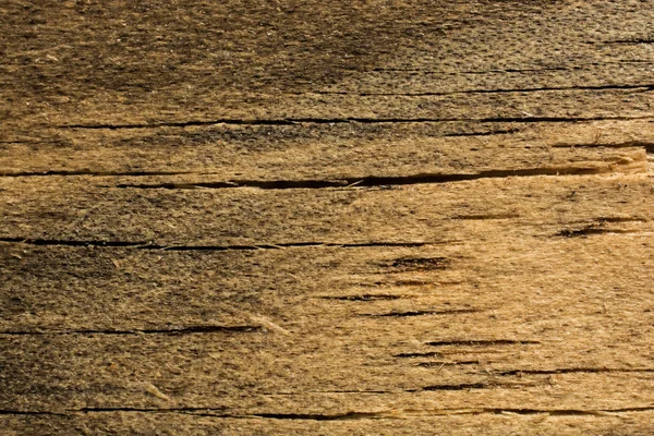 Textura de madera con patrones naturales — Foto de Stock