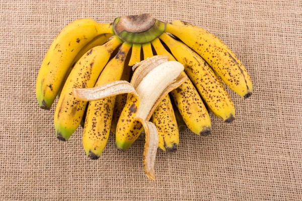 Gepelde banaan op bos van gele sproeterig bananen — Stockfoto