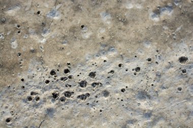 Desen taze beton yüzey görünümünde